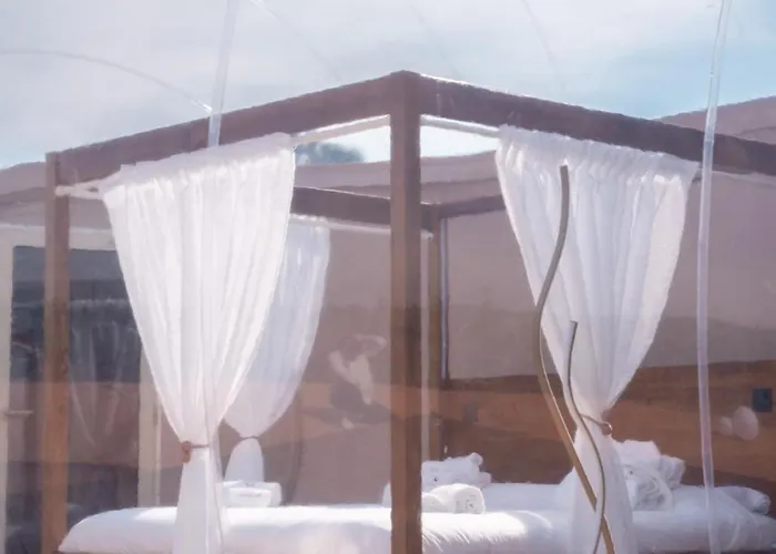 Namoon Bubble Glamping Luxury tent